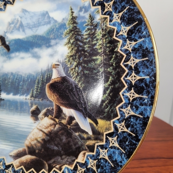 Vintage The Bradford Exchange "Pride of the Sky" by Frank Mittelstadt Plate - Picture 4 of 14